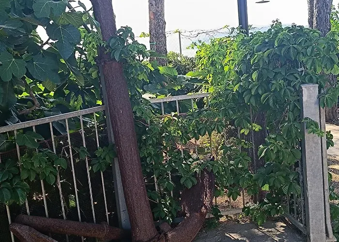 Σπίτι διακοπών Dell'ancora